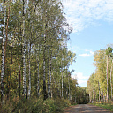 Бризе