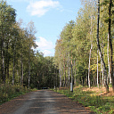 Бризе